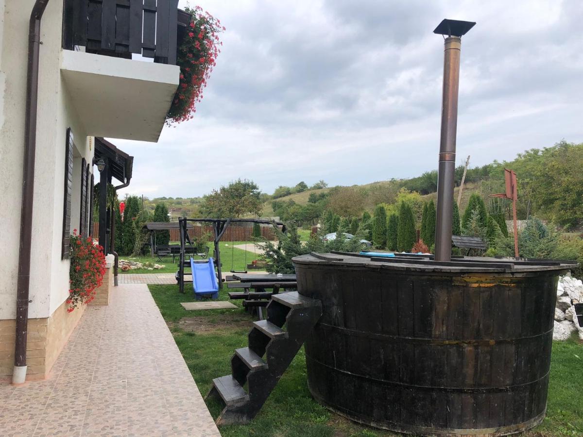 Oaza Apusenilor Villa Calarasi  Dış mekan fotoğraf